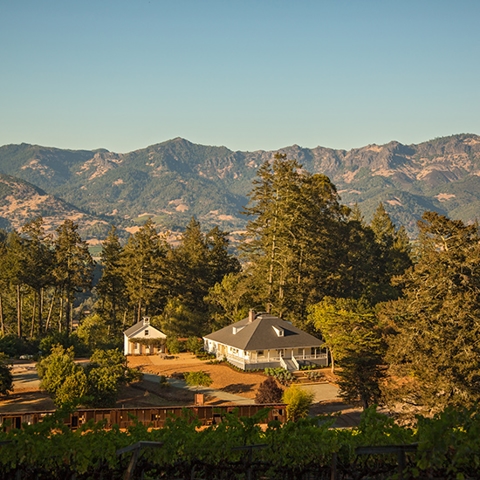 The Ultimate Travel Guide to Calistoga